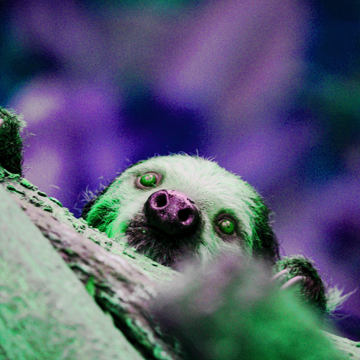 Dazed / | Slothcore