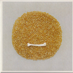 Silo cover