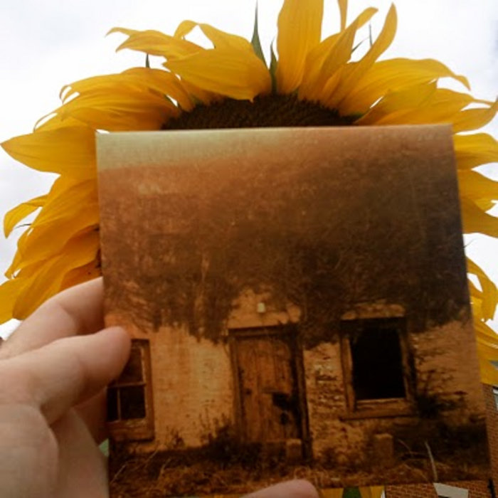 Found Photographs of Ancestors The Driftwood Manor