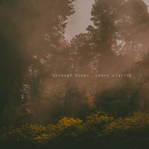 Through Doubt, Comes Clarity cover art