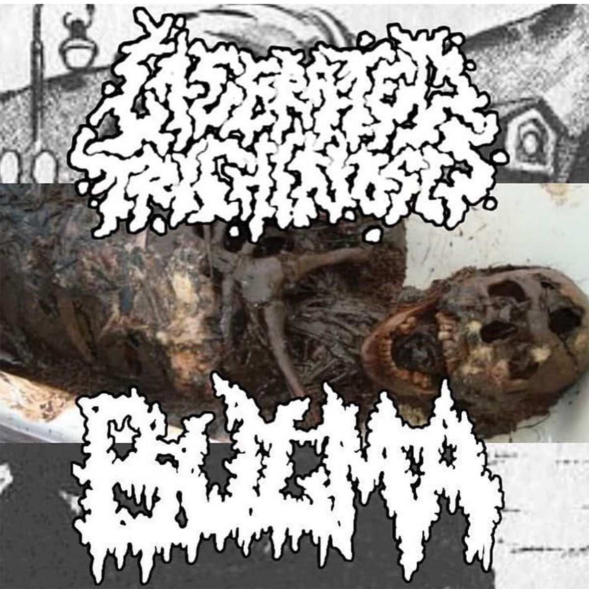 ブルデス スラミング Vulvectomy CD 3枚セット Vulvectomy - Putrescent Clitoral Fermentation (CD) – Miasma Records