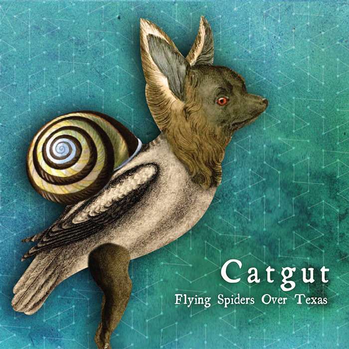 Flying Spiders Over Texas | Catgut