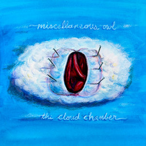 the cloud chamber cover