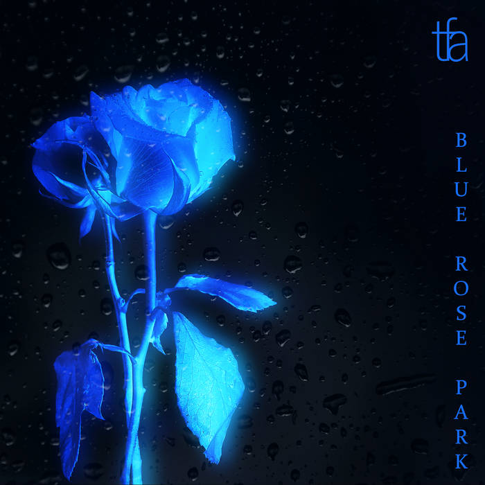 Frequenz синие розы обложка. Синие розы фон. Blue rise. Blue rose песня. Blue rose песня.