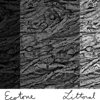 UR 047: LITTORAL
ECOTONE