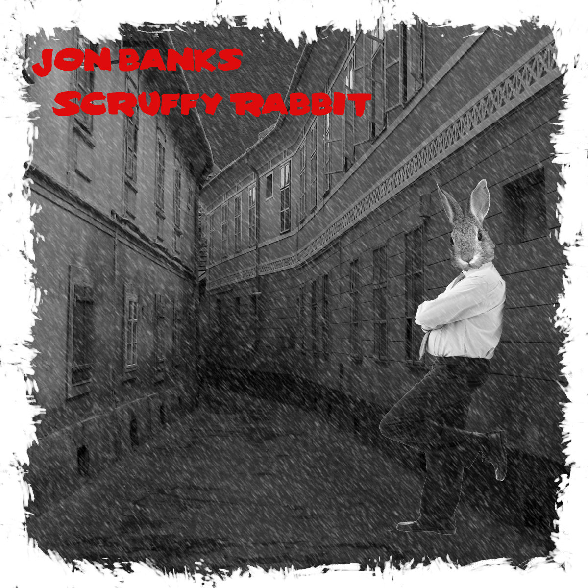 Scruffy Rabbit | Jon Banks