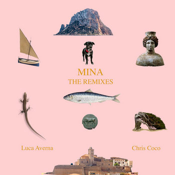 Cover art for Mina (The Remixes)