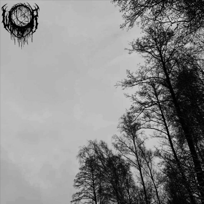 Bleeding trees Winterr