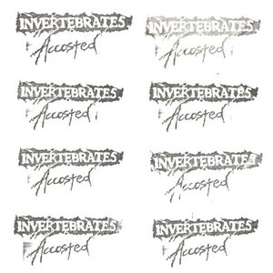 Invertebrates — Accosted