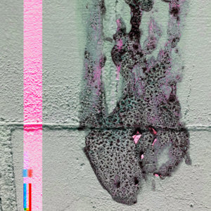 automisanthrope cover