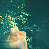 Allotment Tapes #2 - The Lungs of the City - (with Steven Vitale) cover art