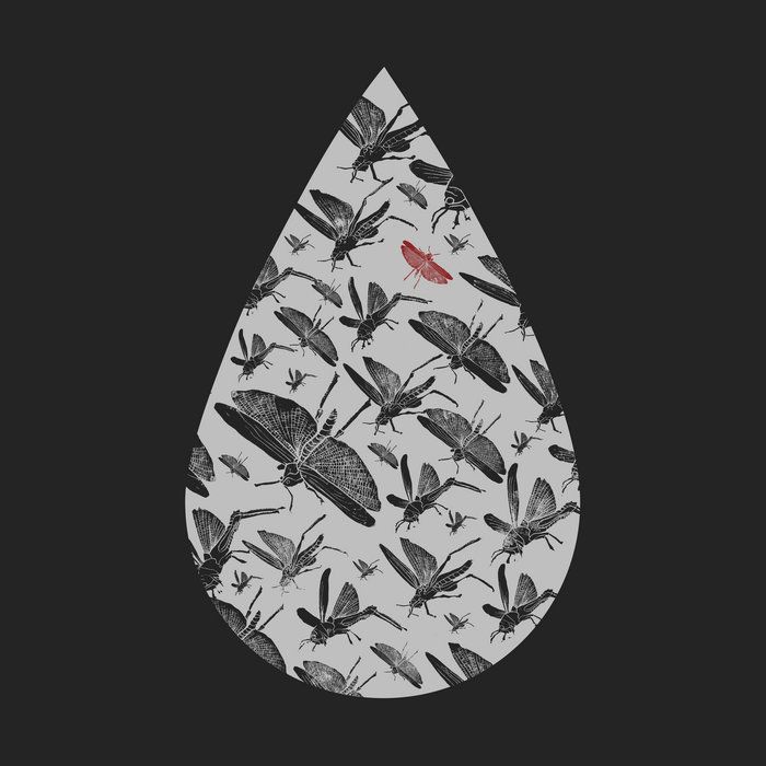 LinkMe BandCamp