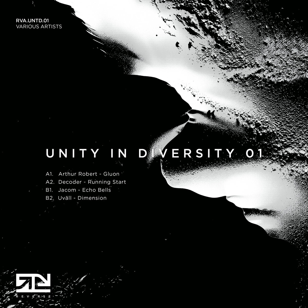 UNITY IN DIVERSITY 01 | Various Artists | REVERSE