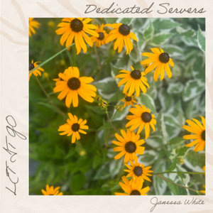 Let it GoDedicated Servers featuring Janessa White and The Very Most cover