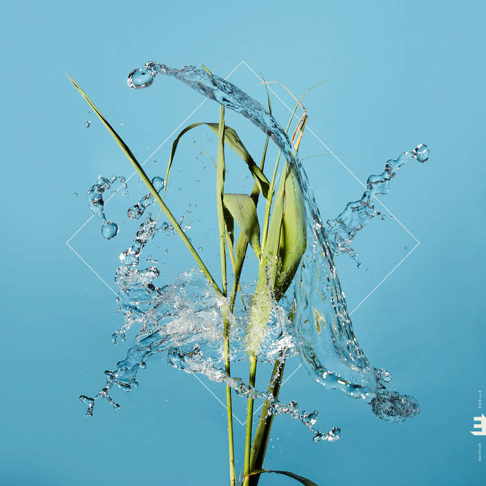 Stream
von Fergus McCreadie