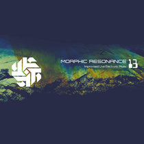 Morphic Resonance 13 - Livestream 30.07.22 cover art