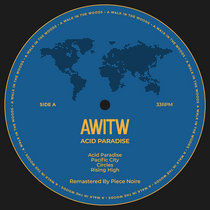 Acid Paradise [Remastered] cover art