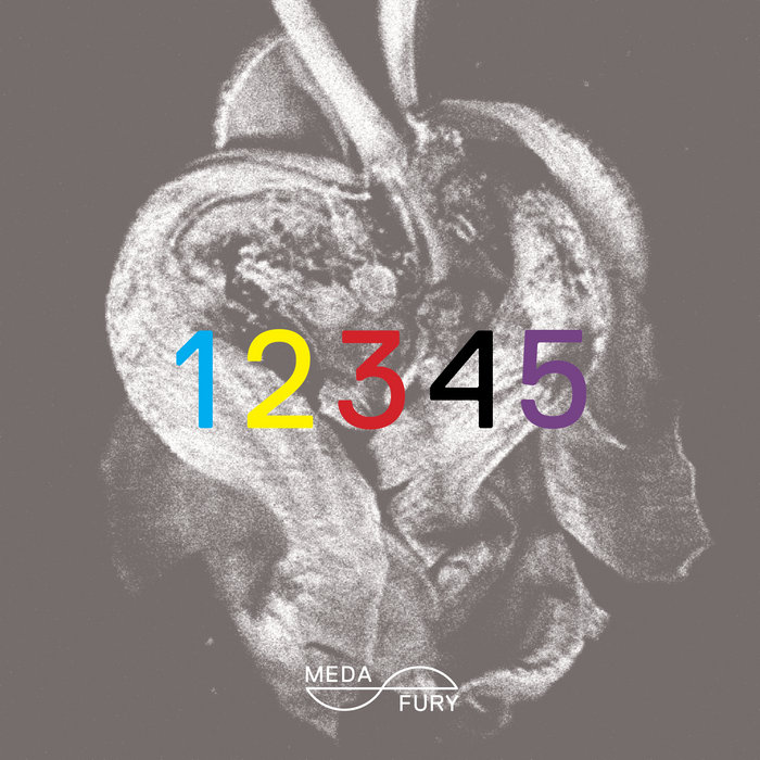 12345 Compilation | Meda Fury