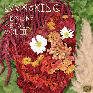 Memory Metals Vol III cover