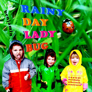 Rainy Day Lady Bug cover