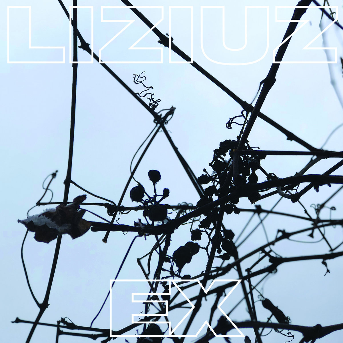Ex | Liziuz | Hospital Productions