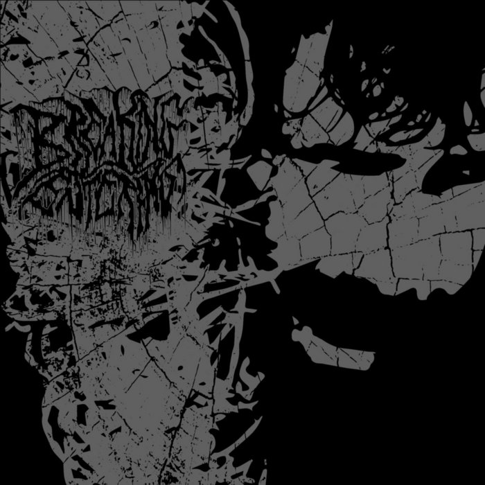 EP II BREAKING/ENTERING Tape House USA