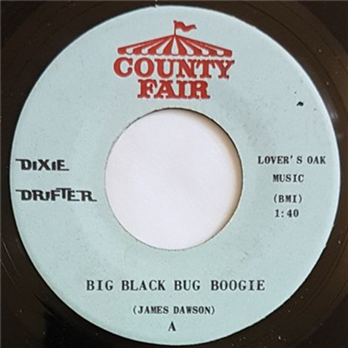 Big Black Bug Boogie Mean Women Blues | Dixie Drifter (2)