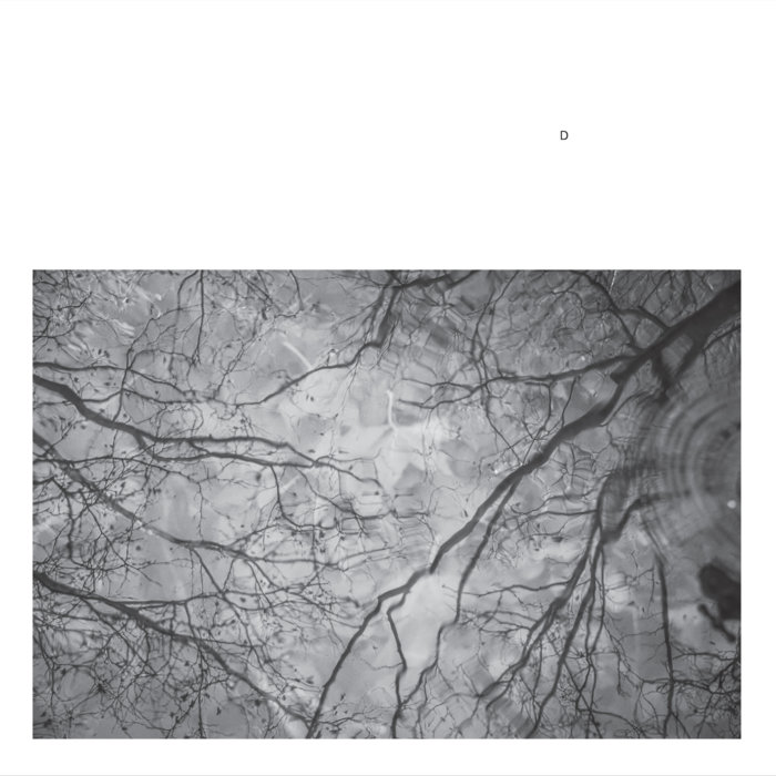 Pochette de D par D