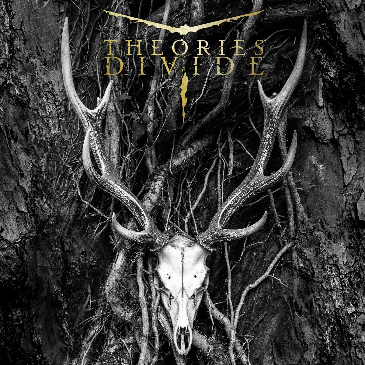 Theories Divide cover