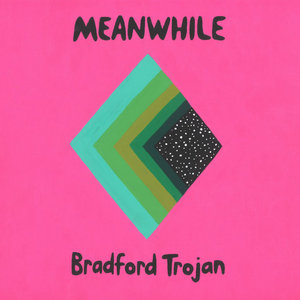 Meanwhile cover
