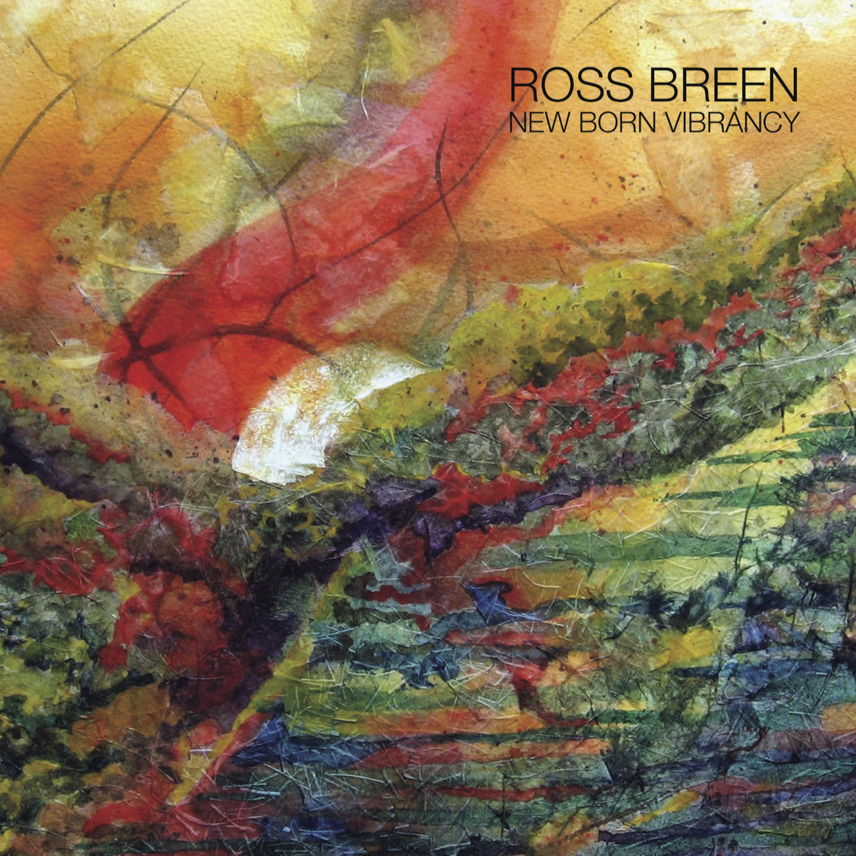 New Born Vibrancy cover