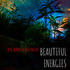Beautiful Energies