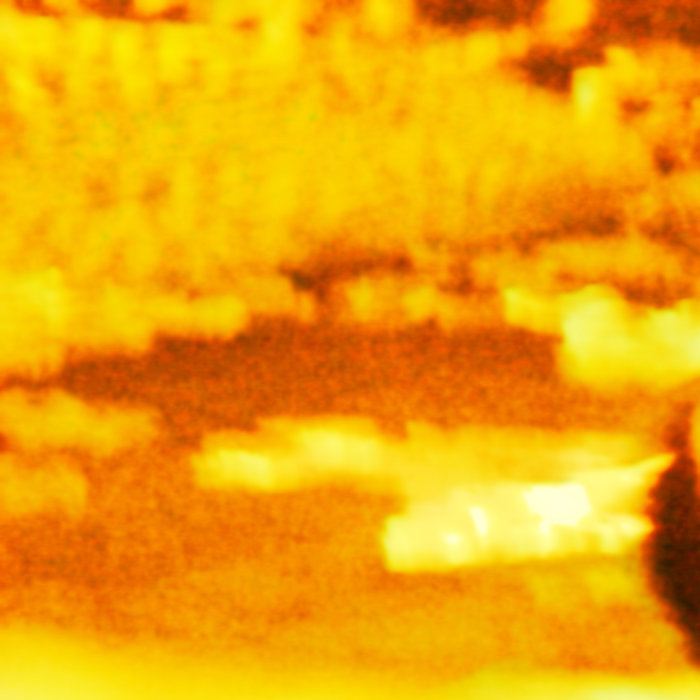 Yellow Compost Coppice Halifax