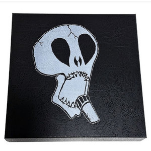 Subhumans — Box Set 2nd pressing neon green vinyl