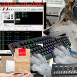 paws on daws !! cover art