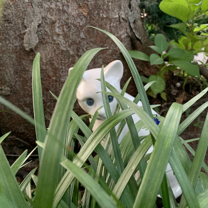 Tell 'em All (Explicit) | June Star