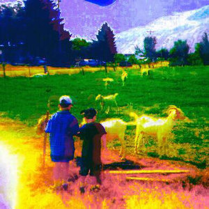 Stateline cover