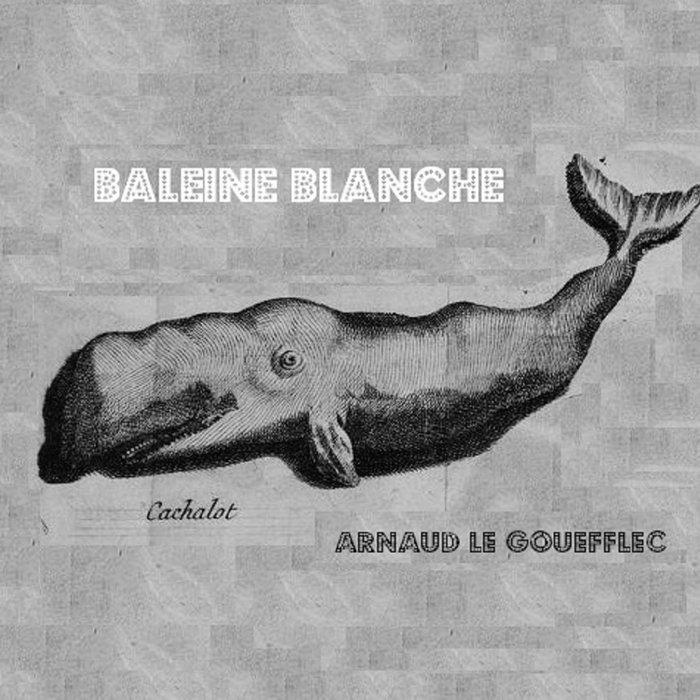 Baleine Blanche Arnaud Le Gouëfflec l'Eglise de la petite folie Face B