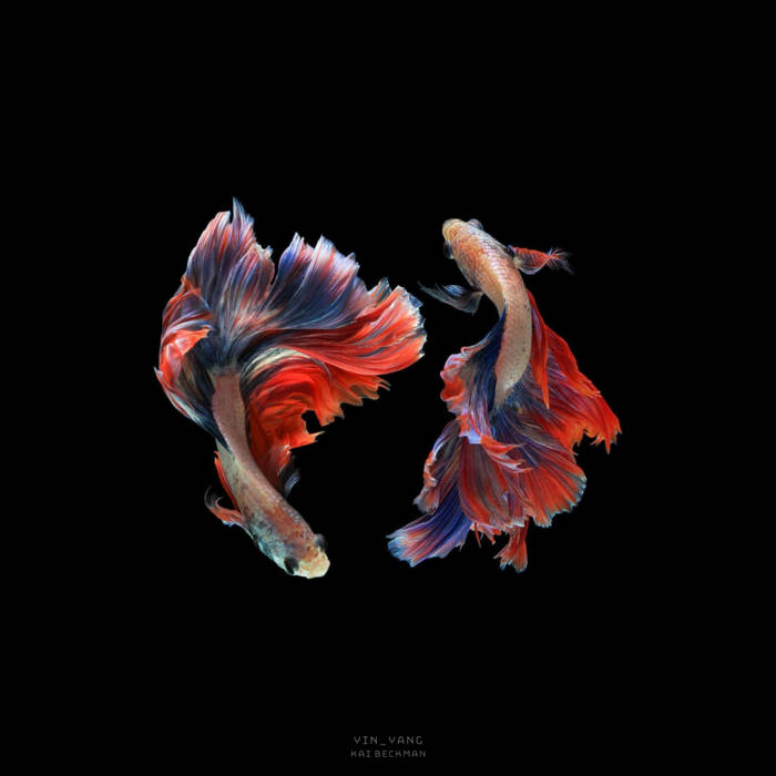 yin_yang | Kai Beckman | Bedlam Tapes