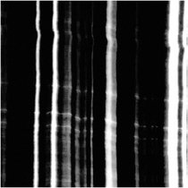 Elterigitaj III cover art