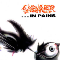 Discipline | Cadaver Inc