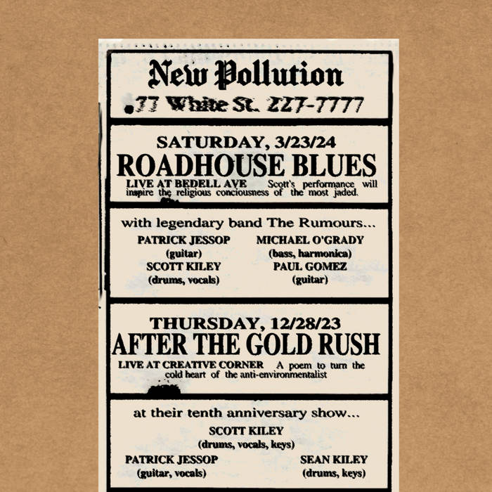 Roadhouse blues harmonica clearance