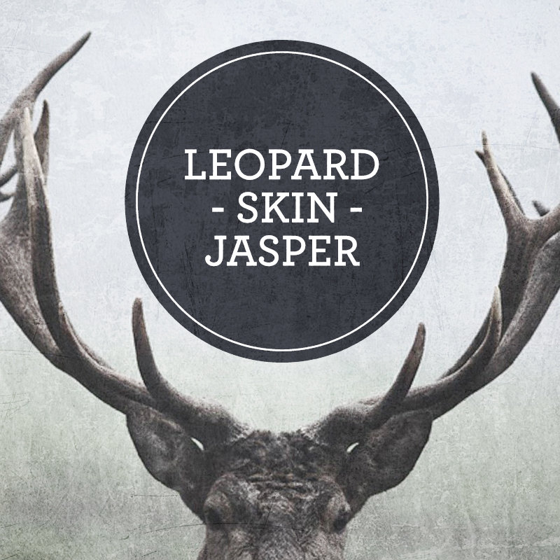 Leopard Skin Jasper cover