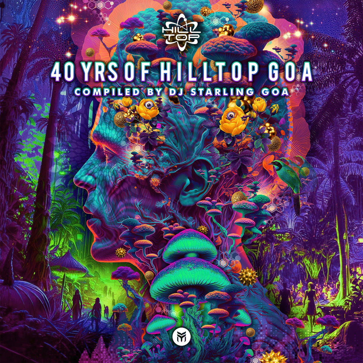 【Goa】Non Fiction - Aspect to the Future 40 Yrs of Hilltop Goa | Various Artists (Future Music Records