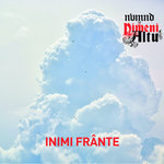Ortega Nimeni Altu In Surdină Nimeni Altu