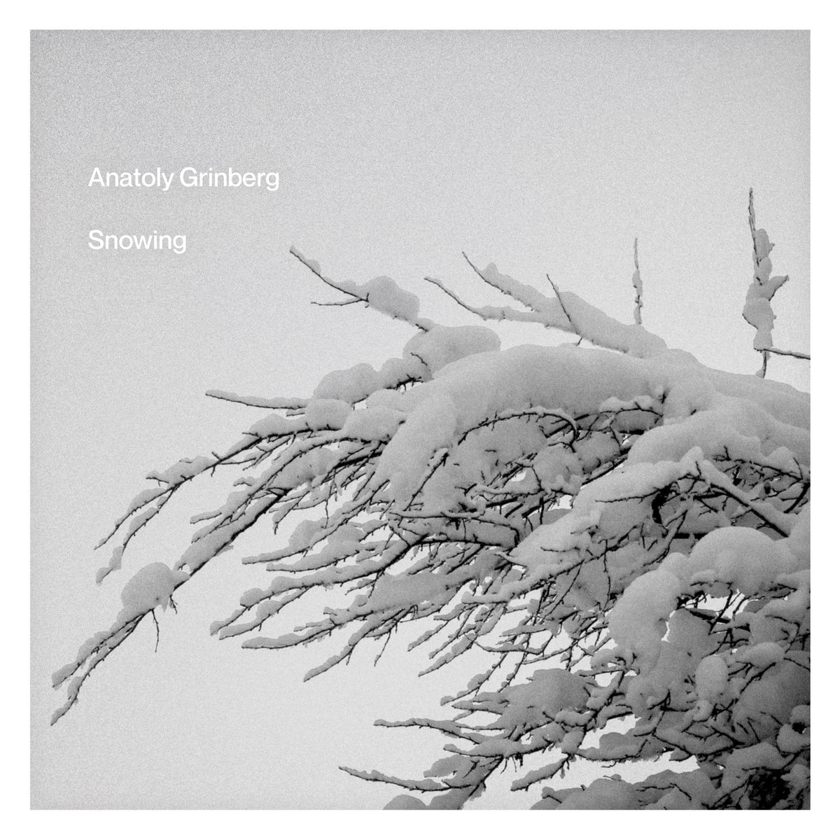 snowing | anatoly grinberg | ant-zen