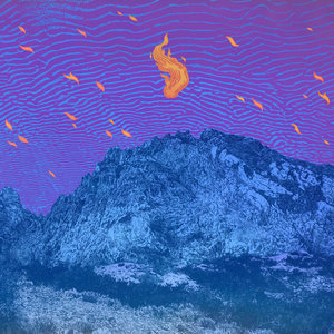 Pelican — Flickering Resonance