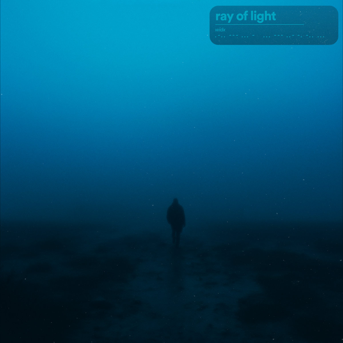 邦楽 RAY OF LIGHT ray of light | widx.