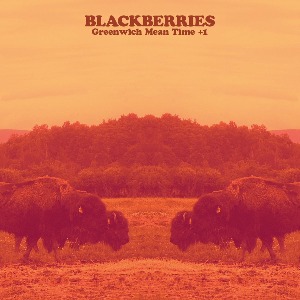 AMARETTO BBR：01 Black Berry Recordings AMARETTO BBR：01 Black Berry Recordings Black Berry