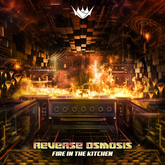 Reverse Osmosis — Fire In The Kitchen
